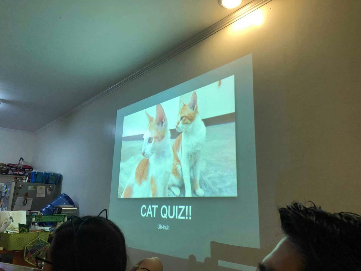 Cat Japanese Only At Uh Huh House Pansiyon Cebu Dış mekan fotoğraf